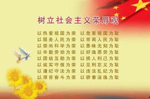 娱乐圈吃瓜有感